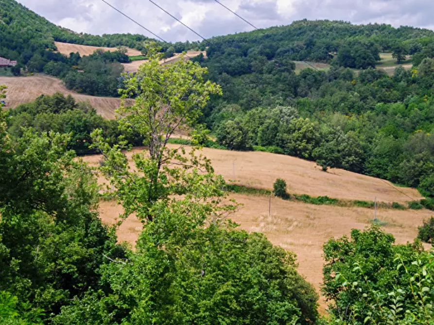Immagine 5 di Rustico / casale in vendita  a Borgo Pace