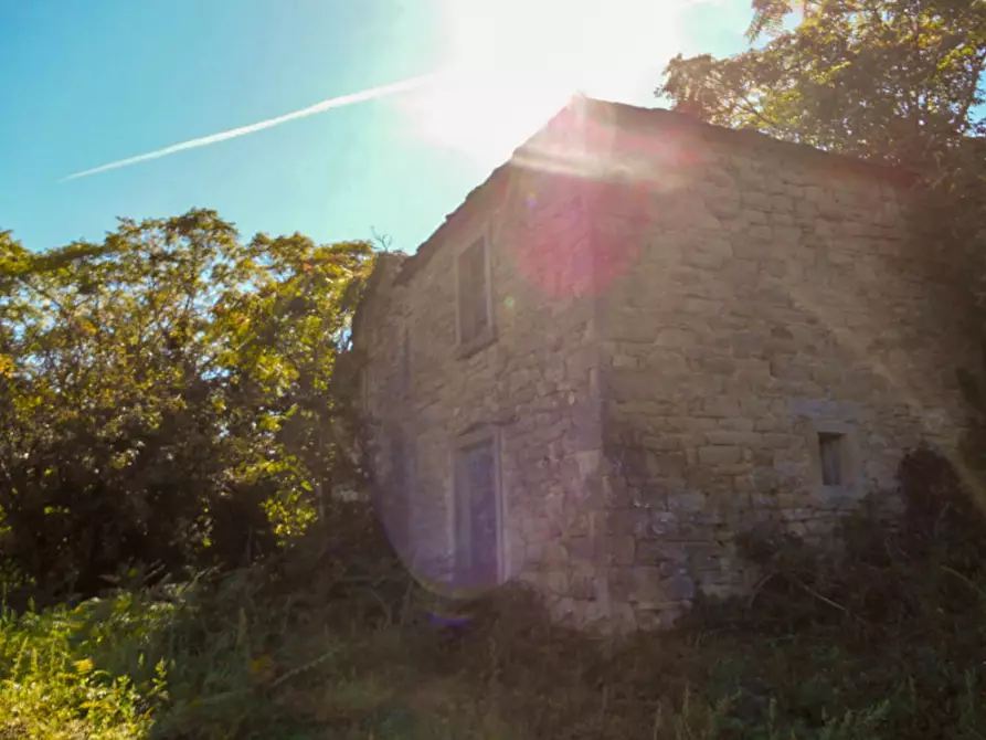 Immagine 6 di Rustico / casale in vendita  a Borgo Pace