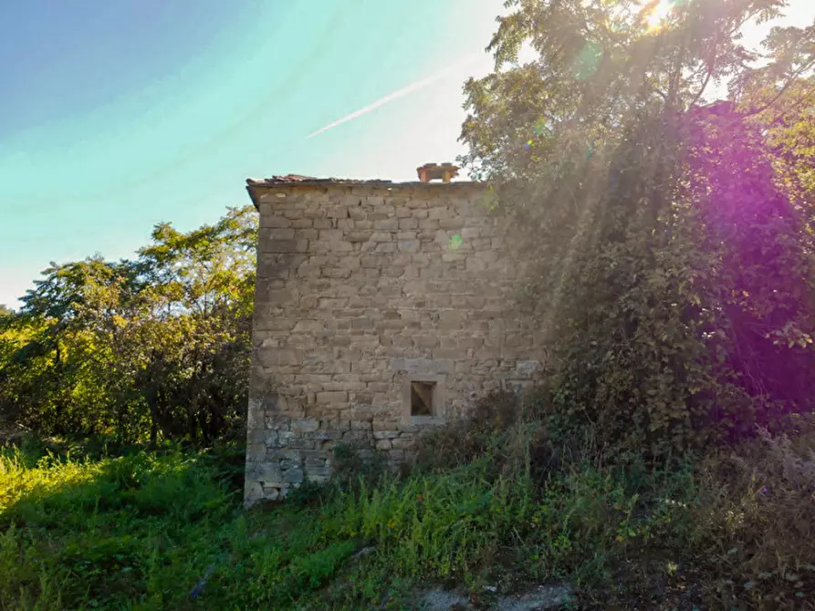 Immagine 7 di Rustico / casale in vendita  a Borgo Pace