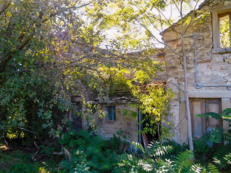 Immagine 8 di Rustico / casale in vendita  a Borgo Pace