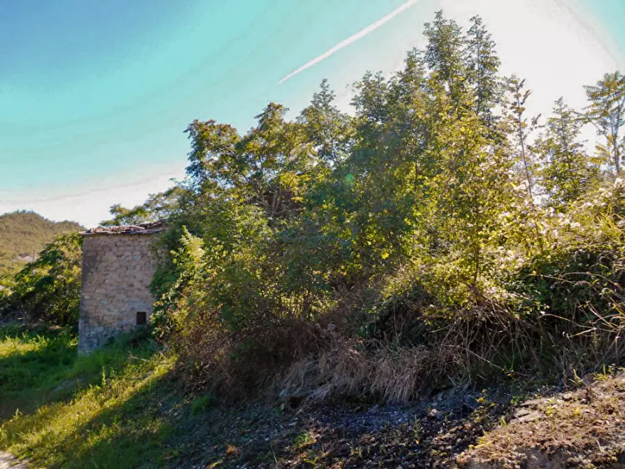 Immagine 9 di Rustico / casale in vendita  a Borgo Pace