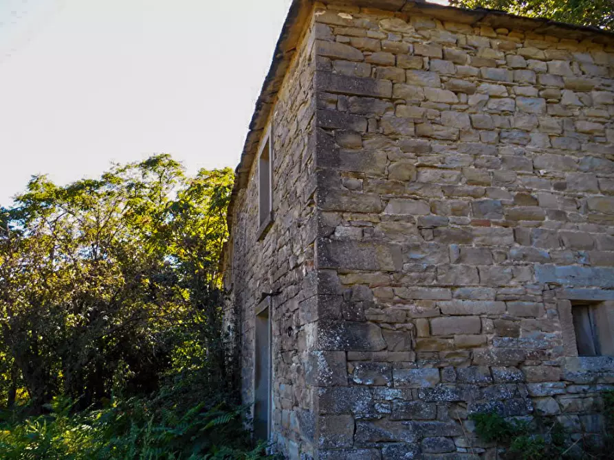 Immagine 10 di Rustico / casale in vendita  a Borgo Pace