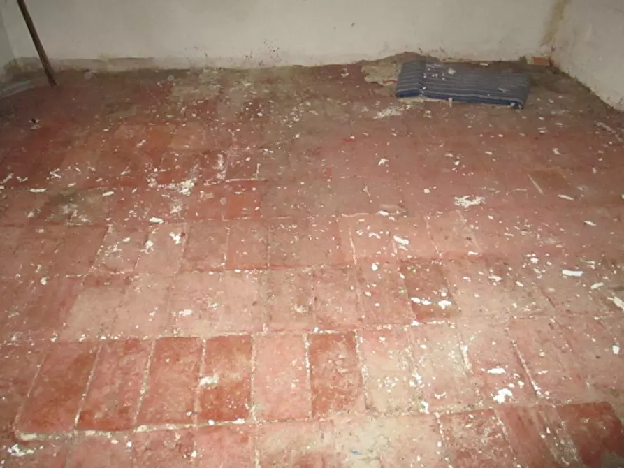 Immagine 17 di Rustico / casale in vendita  a San Costanzo