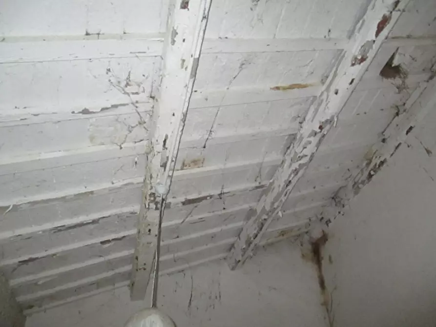 Immagine 19 di Rustico / casale in vendita  a San Costanzo