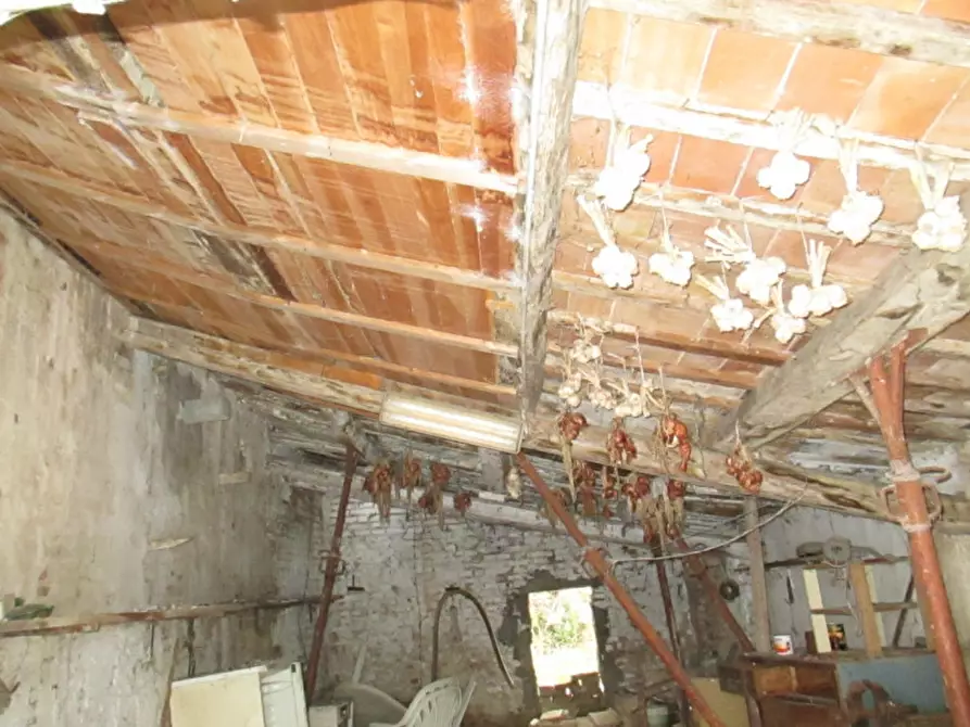 Immagine 30 di Rustico / casale in vendita  a San Costanzo