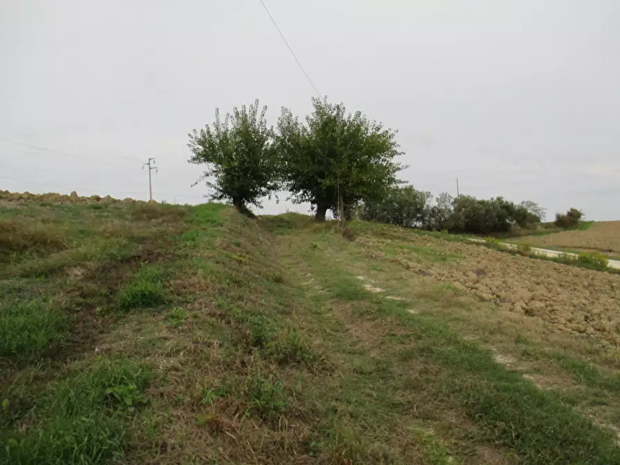 Immagine 32 di Rustico / casale in vendita  a San Costanzo