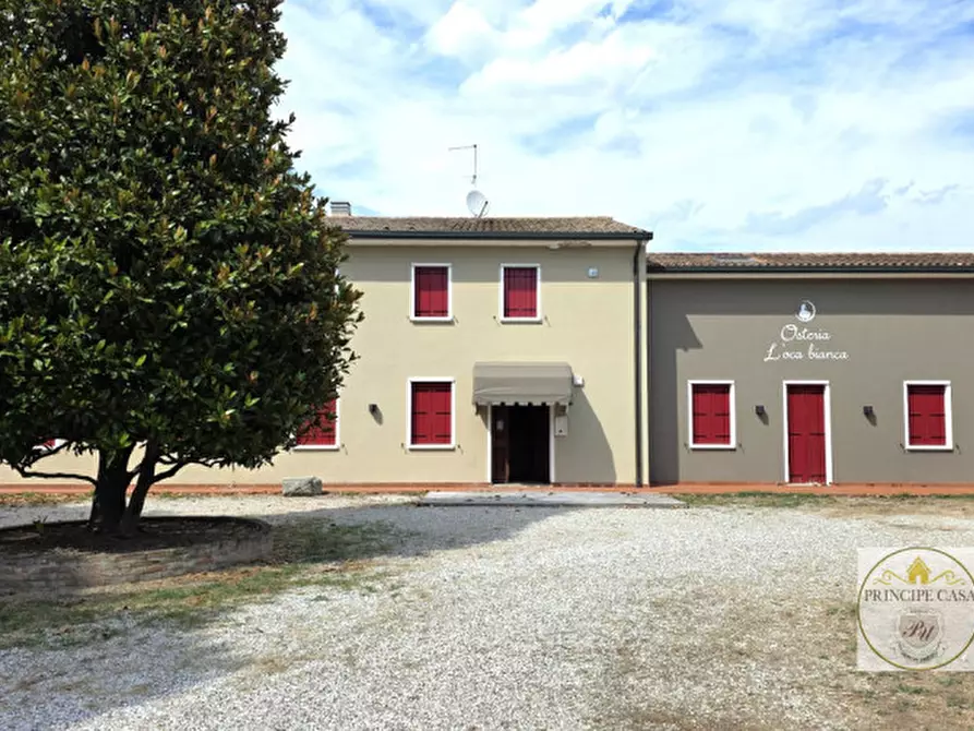 Immagine 3 di Attività commerciale in vendita  in Via Padana inferiore a Este