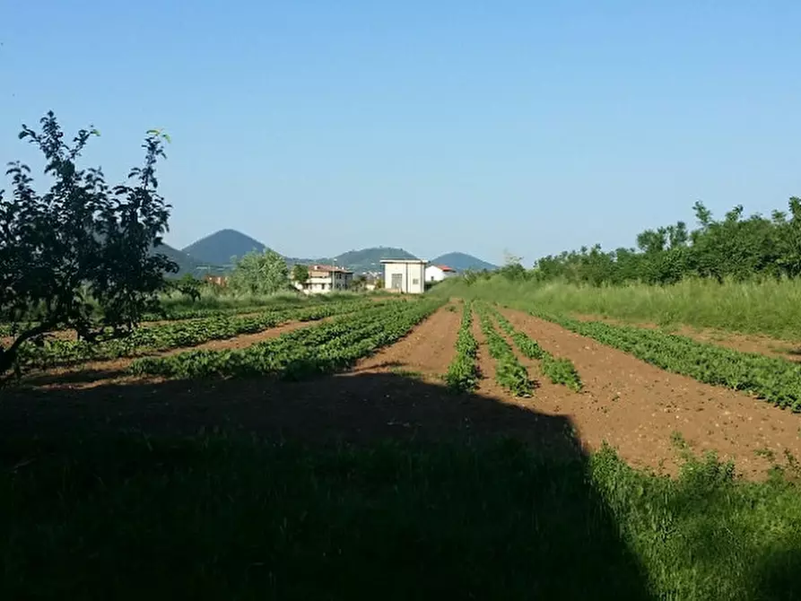 Immagine 2 di Terreno in vendita  in via agora a Noventa Vicentina