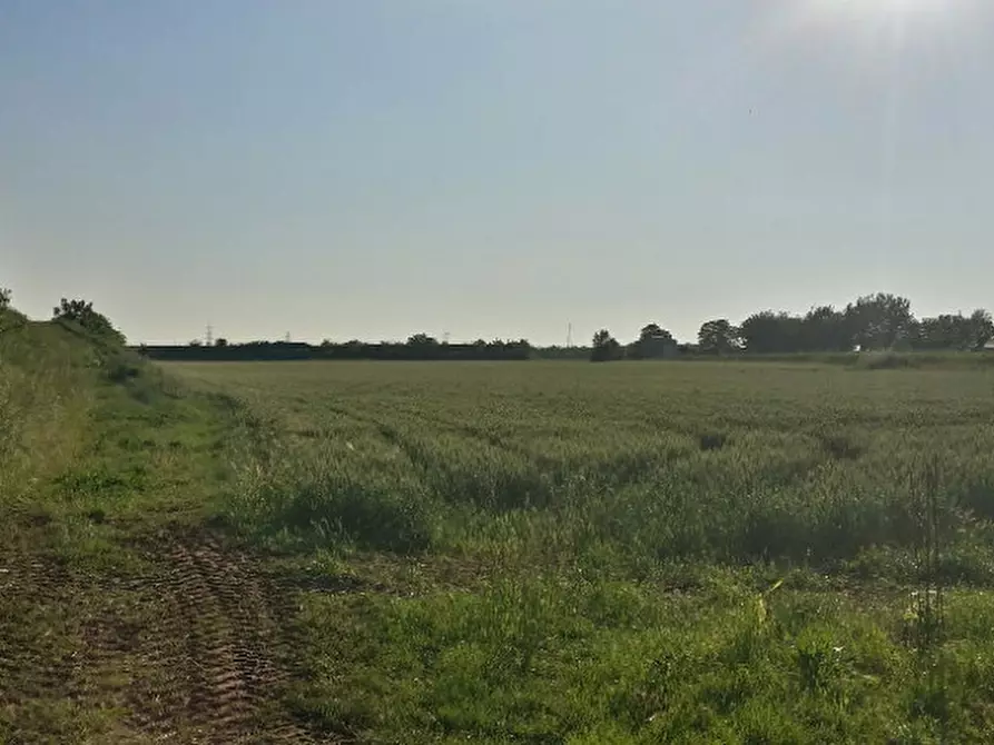 Immagine 4 di Terreno in vendita  in via agora a Noventa Vicentina