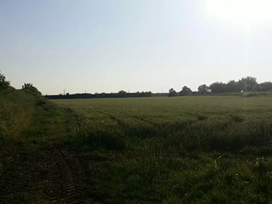 Immagine 7 di Terreno in vendita  in via agora a Noventa Vicentina