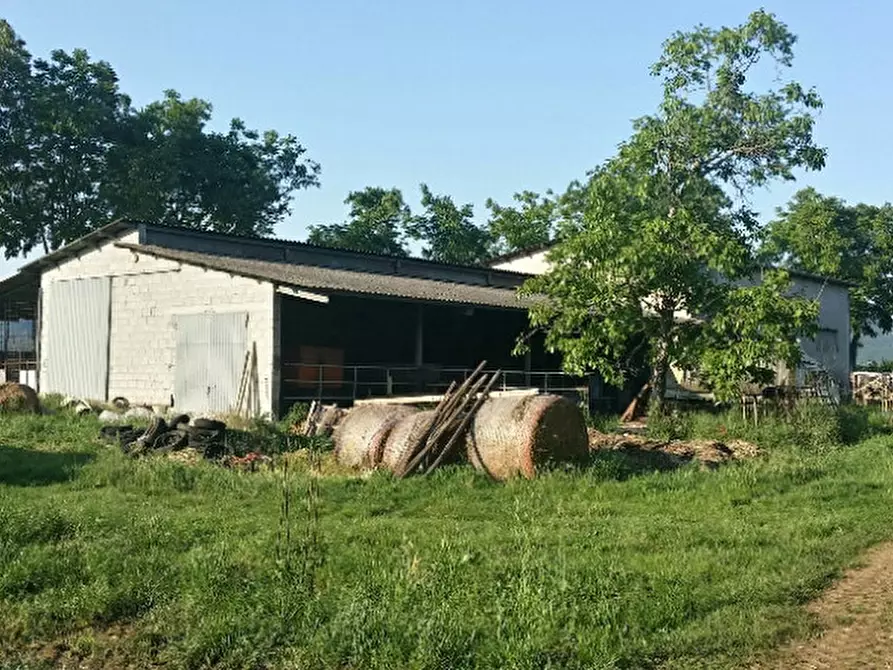 Immagine 8 di Terreno in vendita  in via agora a Noventa Vicentina