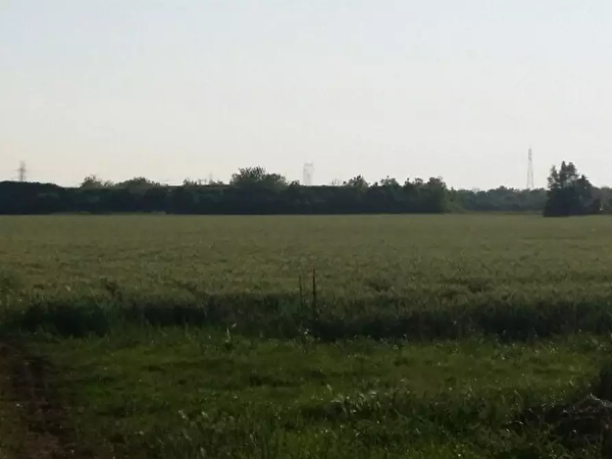 Immagine 9 di Terreno in vendita  in via agora a Noventa Vicentina