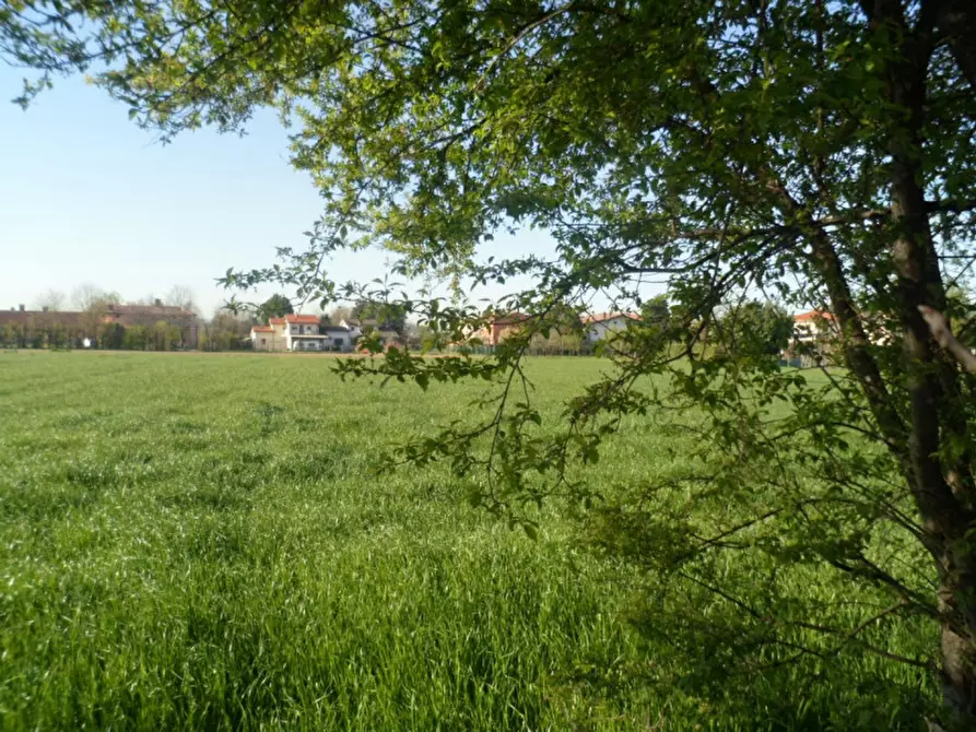 Immagine 3 di Terreno in vendita  in via lago maggiore a Vicenza