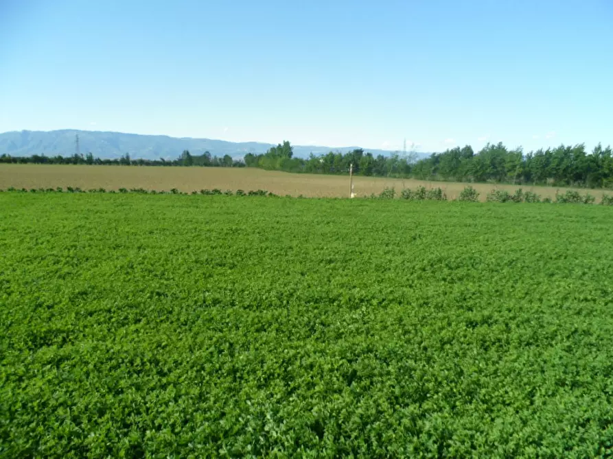 Immagine 11 di Terreno in vendita  in via lago maggiore a Vicenza