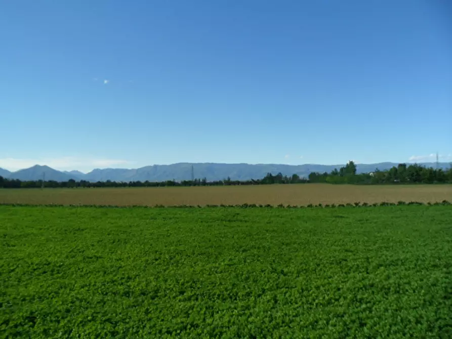 Immagine 13 di Terreno in vendita  in via lago maggiore a Vicenza