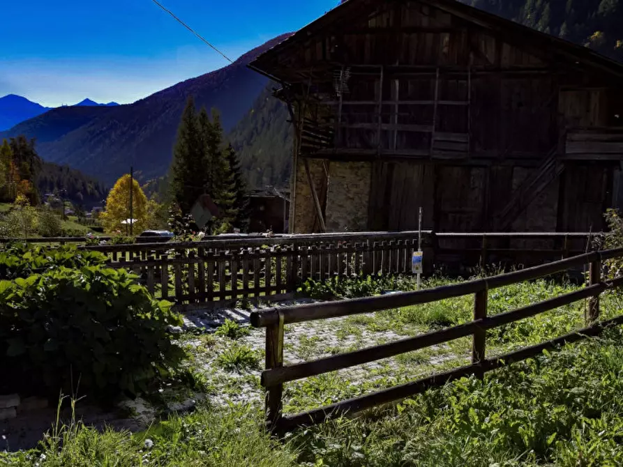 Immagine 31 di Appartamento in vendita  in località Tassè a Rabbi