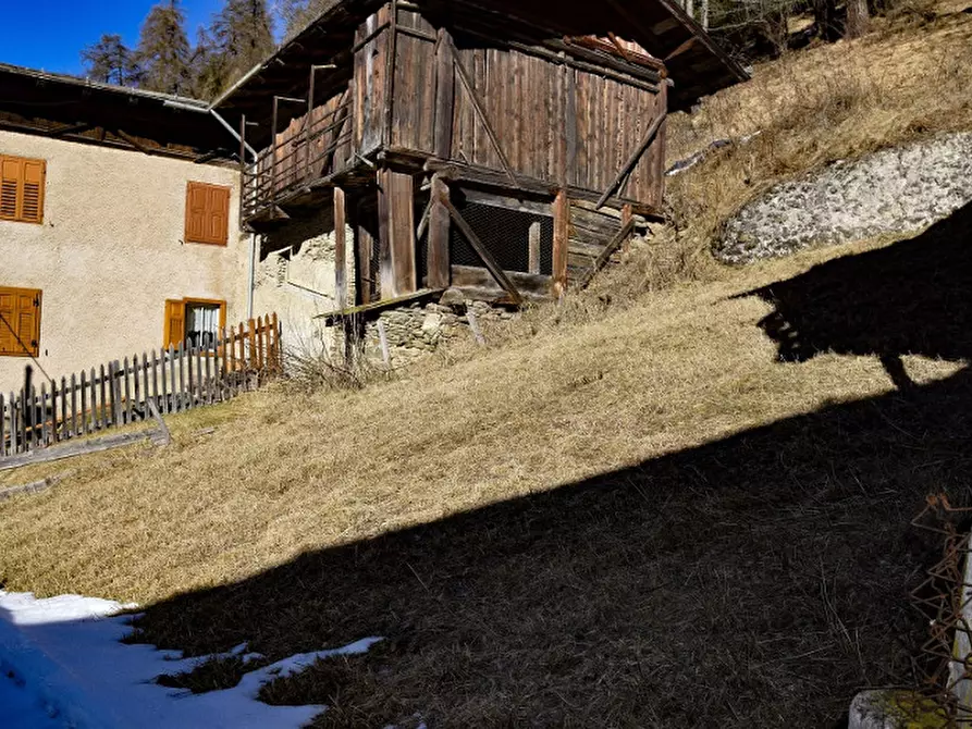 Immagine 13 di Casa indipendente in vendita  in frazione Piazzola a Rabbi