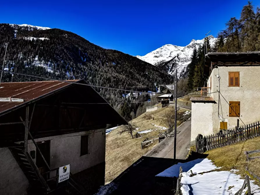 Immagine 14 di Casa indipendente in vendita  in frazione Piazzola a Rabbi