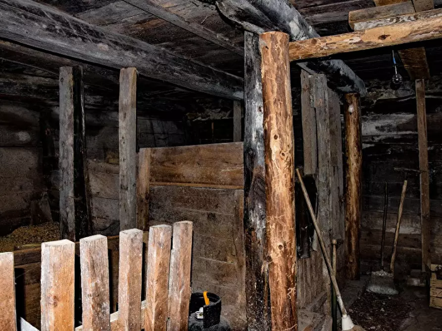 Immagine 18 di Casa indipendente in vendita  in frazione Piazzola a Rabbi