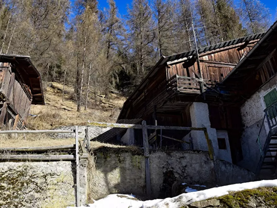Immagine 21 di Casa indipendente in vendita  in frazione Piazzola a Rabbi
