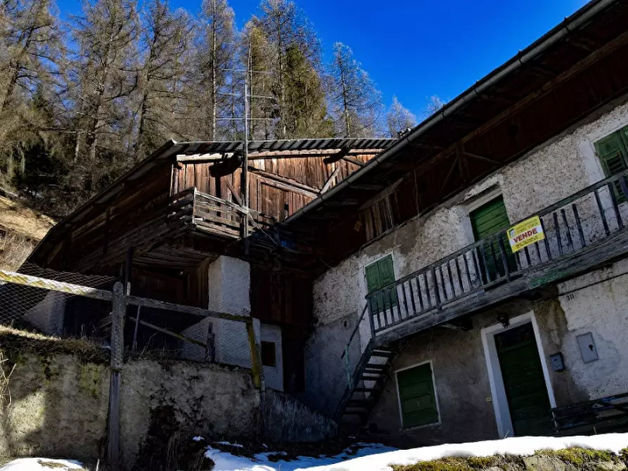 Immagine 22 di Casa indipendente in vendita  in frazione Piazzola a Rabbi