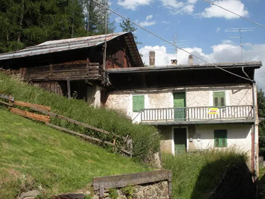 Immagine 24 di Casa indipendente in vendita  in frazione Piazzola a Rabbi