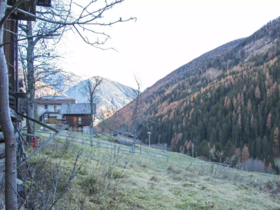 Immagine 3 di Rustico / casale in vendita  in Piazzola a Rabbi