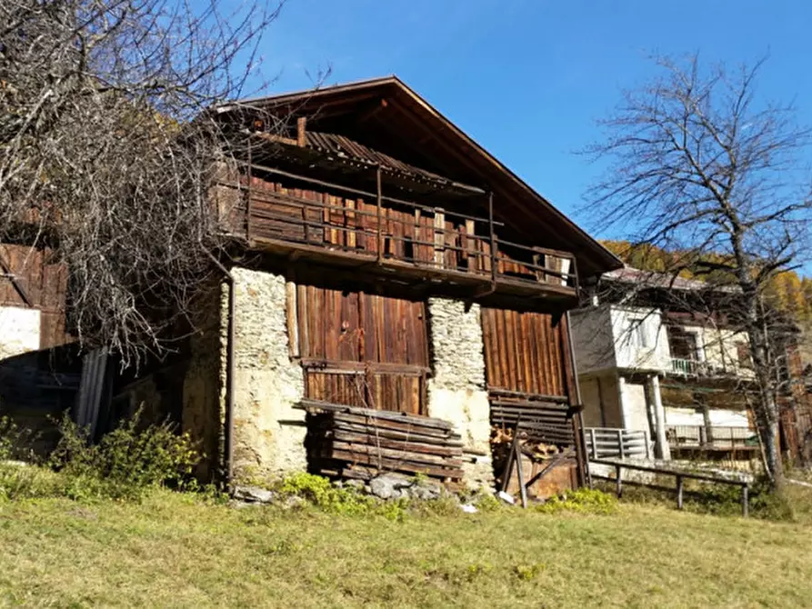 Immagine 5 di Rustico / casale in vendita  in Piazzola a Rabbi