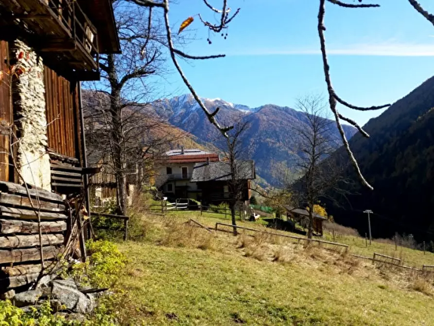 Immagine 6 di Rustico / casale in vendita  in Piazzola a Rabbi