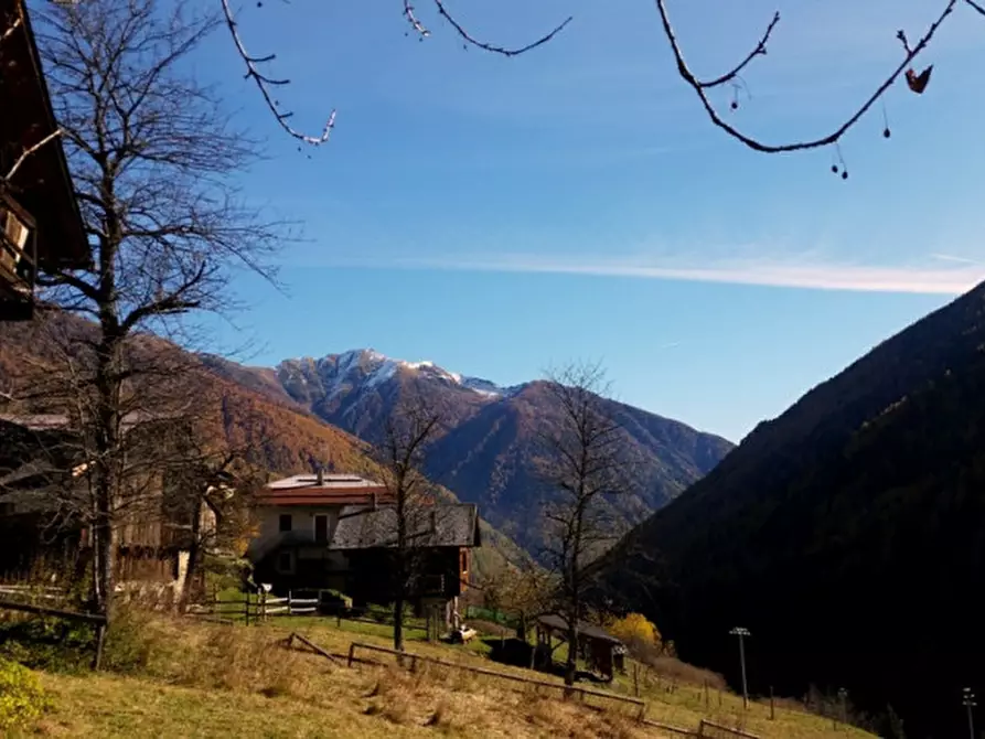 Immagine 7 di Rustico / casale in vendita  in Piazzola a Rabbi