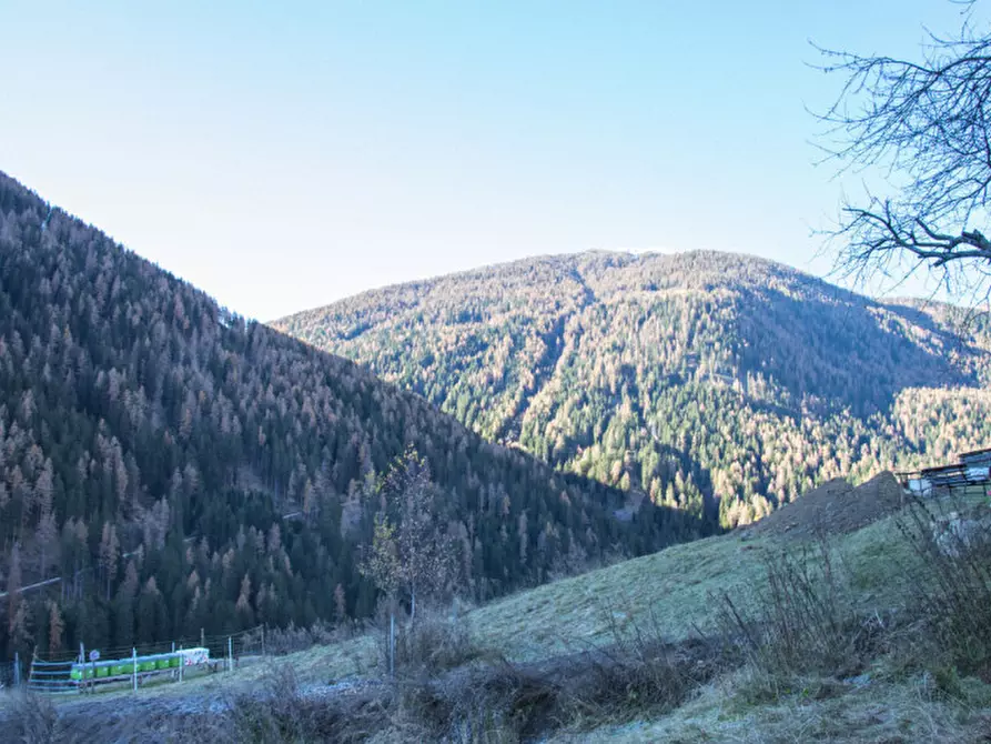 Immagine 10 di Rustico / casale in vendita  in Piazzola a Rabbi