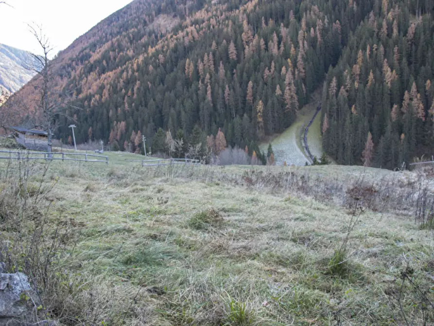 Immagine 12 di Rustico / casale in vendita  in Piazzola a Rabbi
