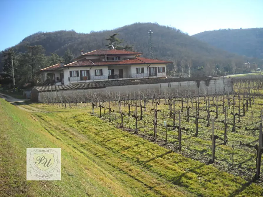 Immagine 2 di Villa in vendita  in Via Dietromonte a Cinto Euganeo