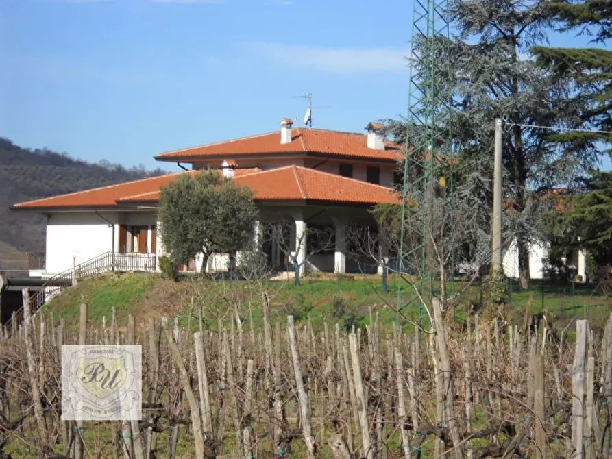Immagine 4 di Villa in vendita  in Via Dietromonte a Cinto Euganeo