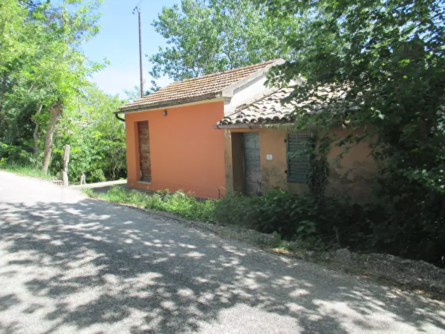 Immagine 3 di Villetta a schiera in vendita  a Corinaldo