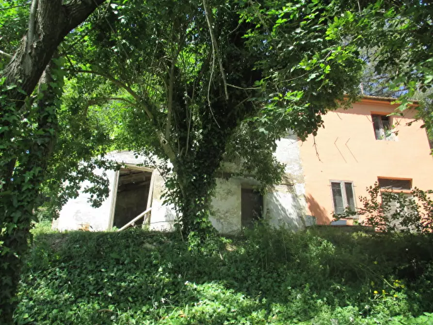 Immagine 17 di Villetta a schiera in vendita  a Corinaldo