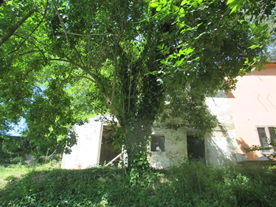 Immagine 18 di Villetta a schiera in vendita  a Corinaldo