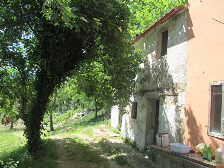 Immagine 21 di Villetta a schiera in vendita  a Corinaldo