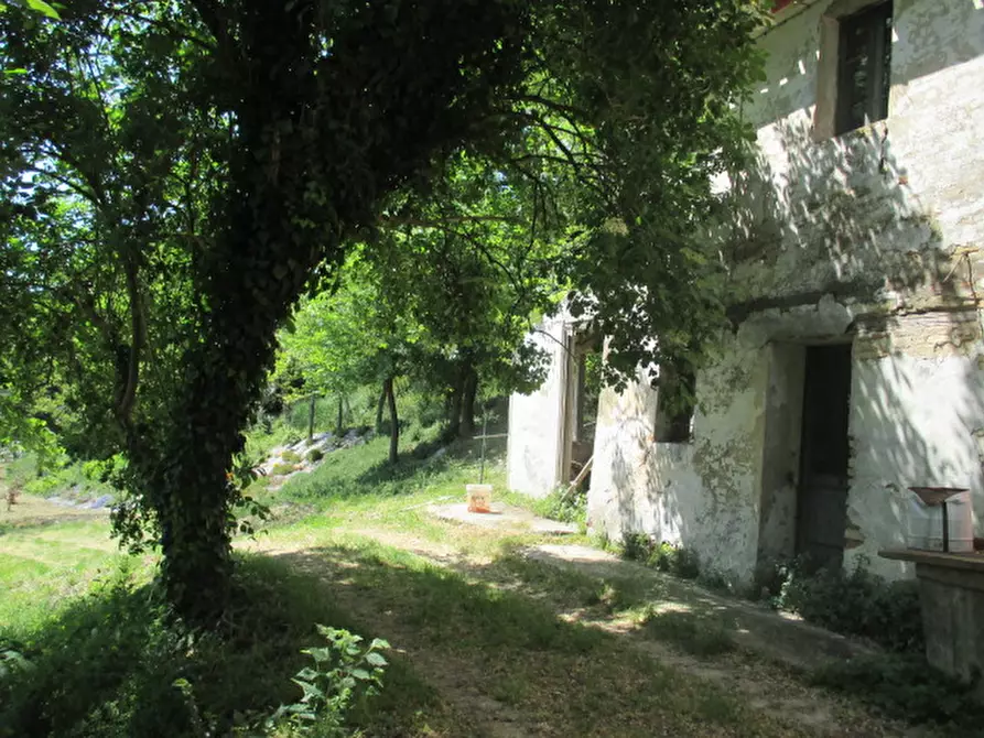 Immagine 22 di Villetta a schiera in vendita  a Corinaldo