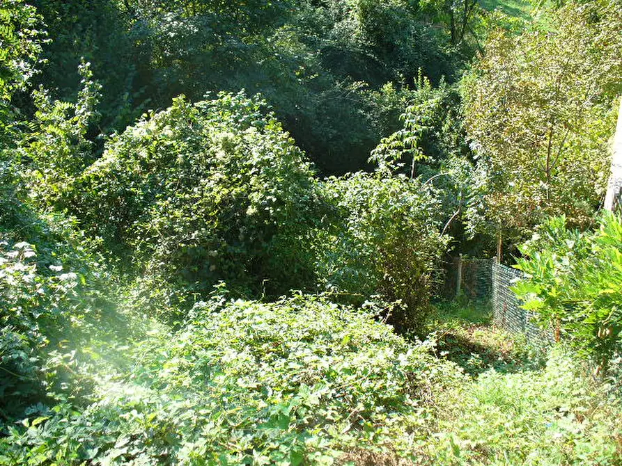 Immagine 1 di Terreno in vendita  a Cazzano Di Tramigna