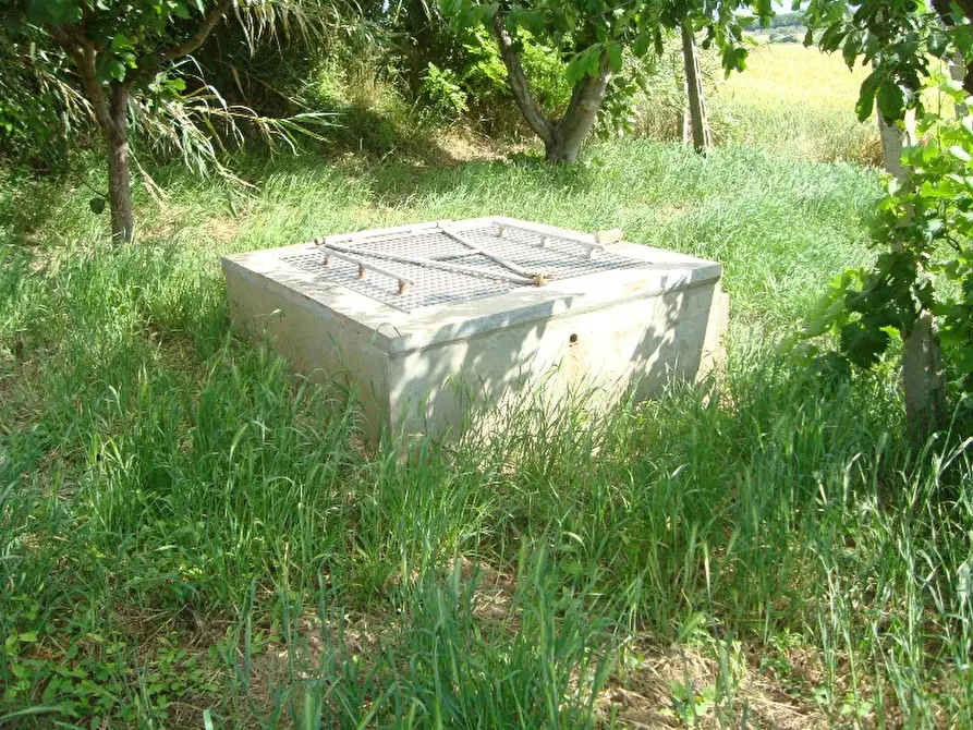 Immagine 26 di Rustico / casale in vendita  a Senigallia