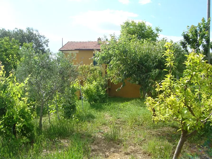 Immagine 27 di Rustico / casale in vendita  a Senigallia