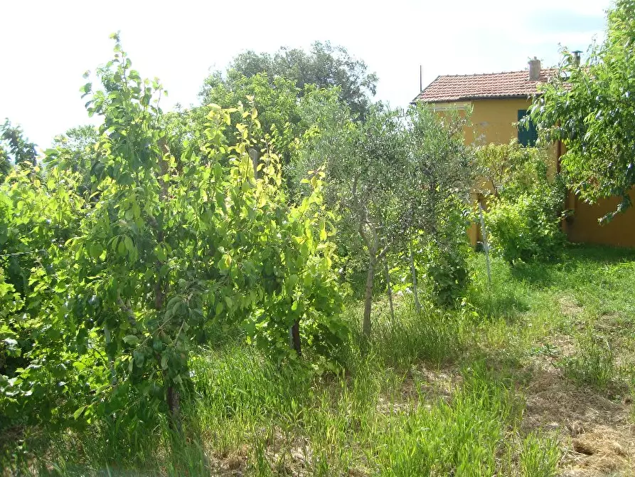 Immagine 28 di Rustico / casale in vendita  a Senigallia