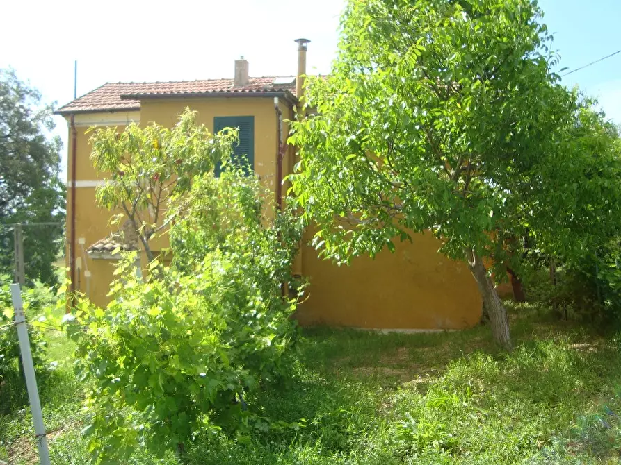 Immagine 29 di Rustico / casale in vendita  a Senigallia