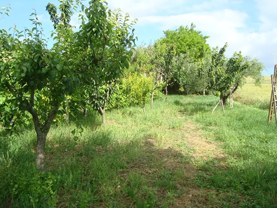 Immagine 31 di Rustico / casale in vendita  a Senigallia