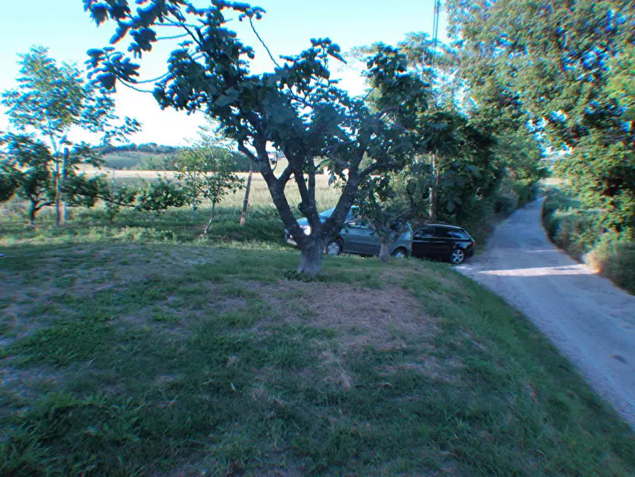 Immagine 49 di Rustico / casale in vendita  a Senigallia