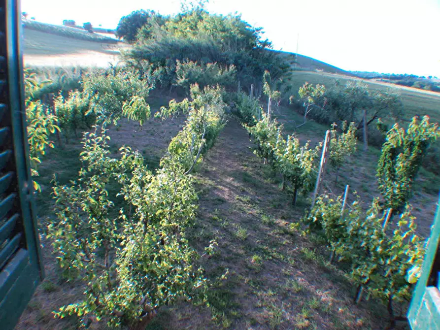 Immagine 56 di Rustico / casale in vendita  a Senigallia