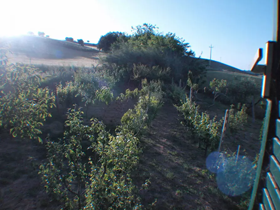 Immagine 57 di Rustico / casale in vendita  a Senigallia