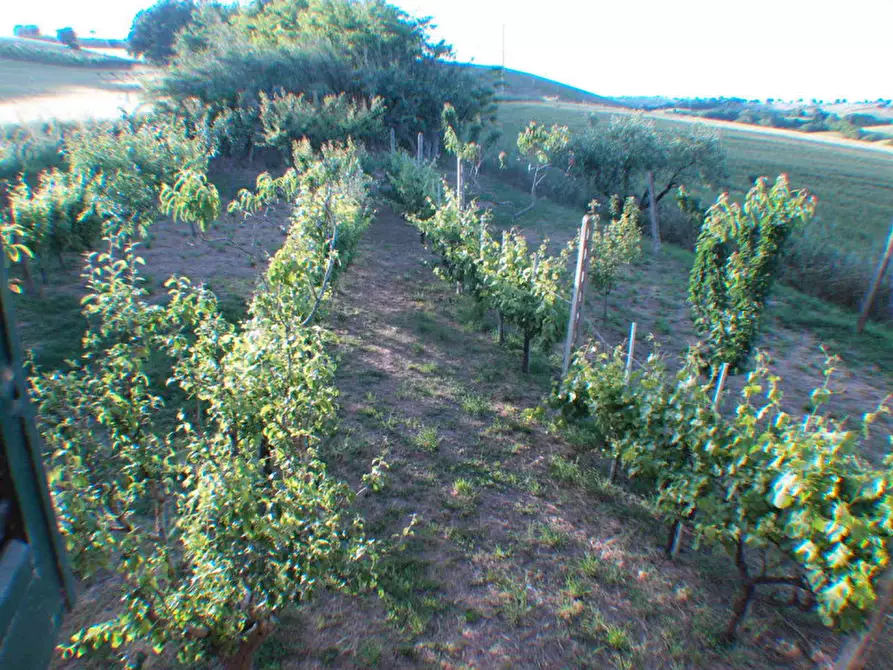 Immagine 58 di Rustico / casale in vendita  a Senigallia