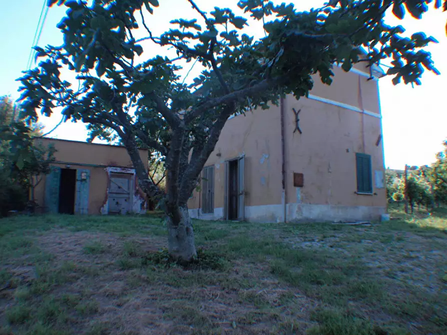 Immagine 69 di Rustico / casale in vendita  a Senigallia